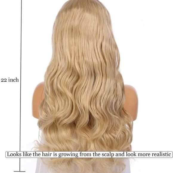 22inch Ombre Brown Lace Front Wig